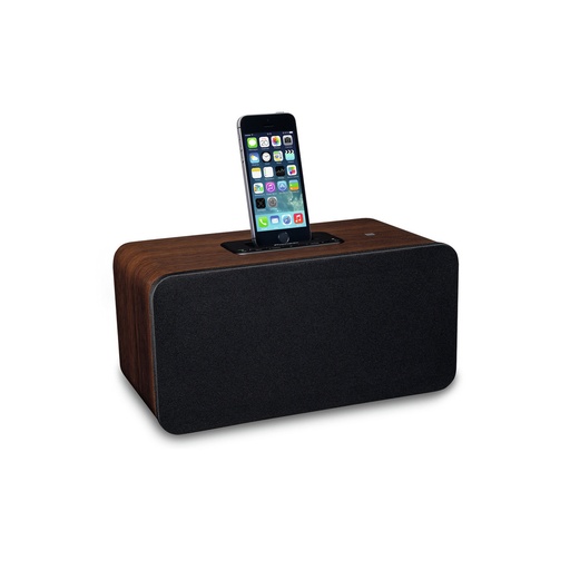 [1008] PIONEER Bluetooth luidspreker bruin